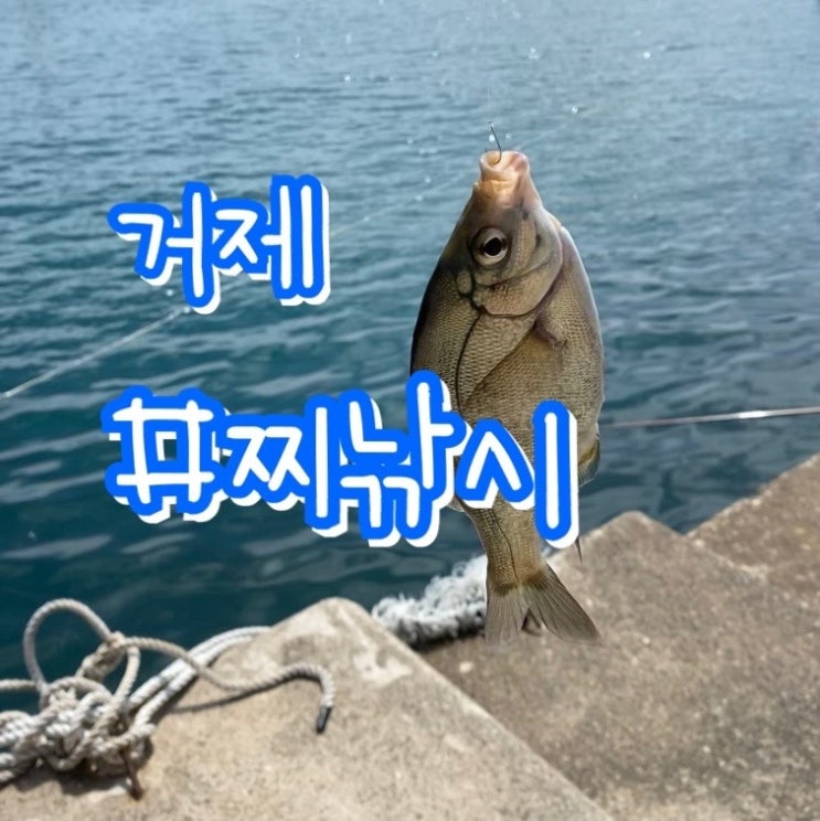  거제여행 2일차/ 생활낚시 찌낚시/ 구조라수변공원 구조라해변