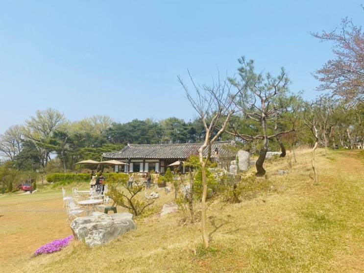  [풍세커피] 충남 천안 풍세 카페추천. feat 내돈내산