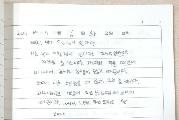  초등학교 4학년 일기, 내가 만약 대통령 된다면