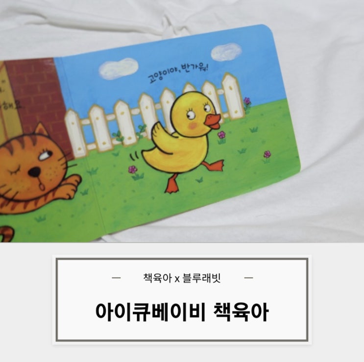  책육아 X 아이큐베이비 BEST 3 (아기팝업북,보드북,동물퍼즐북)