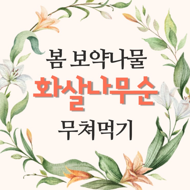  봄에만 먹는 보약 나물 화살나무순 먹는법 효능