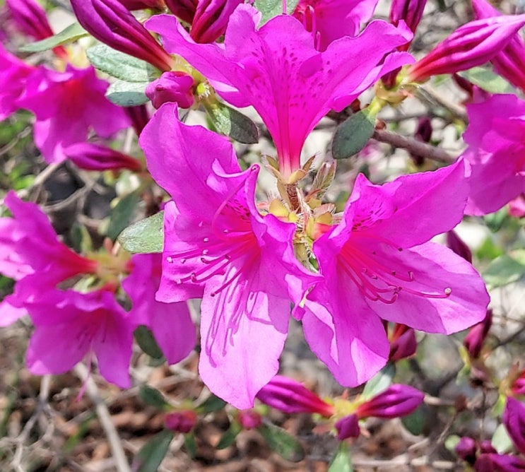  즐거운 산행