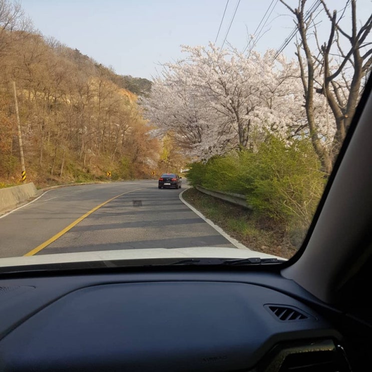  석모도 배스낚시 (강화도)