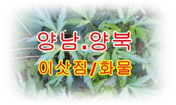 양남용달 읍천 감포 운송.