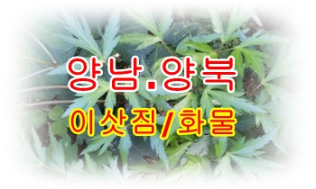  양남용달 읍천 감포 운송.