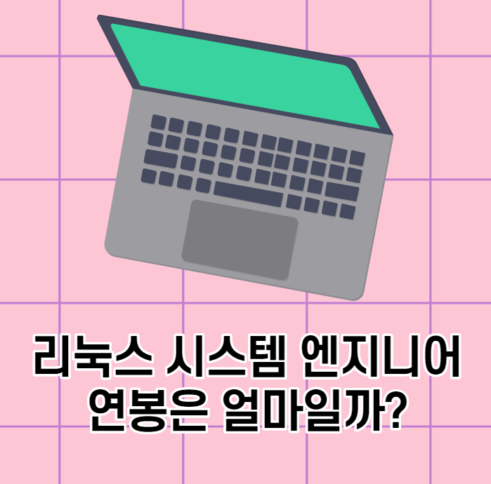  [개발자출신컨설턴트] 리눅스 시스템 엔지니어 연봉은?