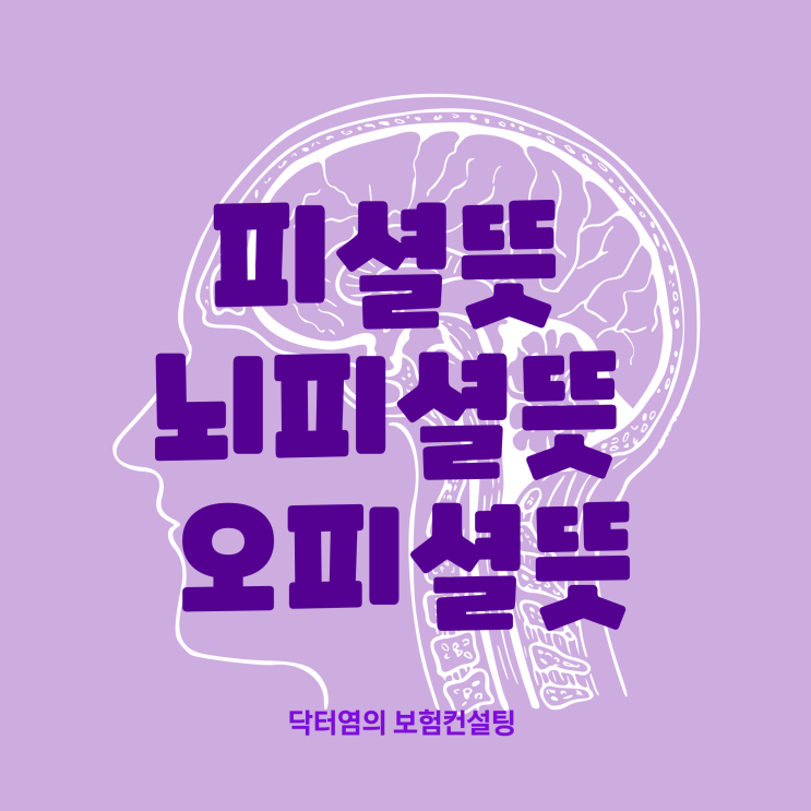  피셜뜻 피셜 뇌피셜 오피셜 뜻과 다양한 의미 핵심만