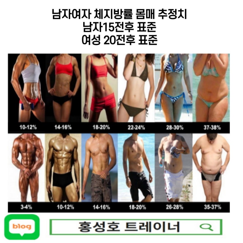 BMI 계산하기 비만도 계산 의미가없는이유 : 네이버 블로그 Bmi 계산하기 비만도 계산 의미가없는이유 : 네이버 블로그