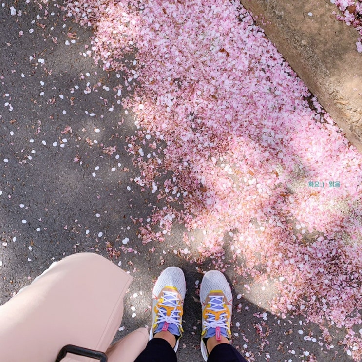  4월 두번째주 화요 일상