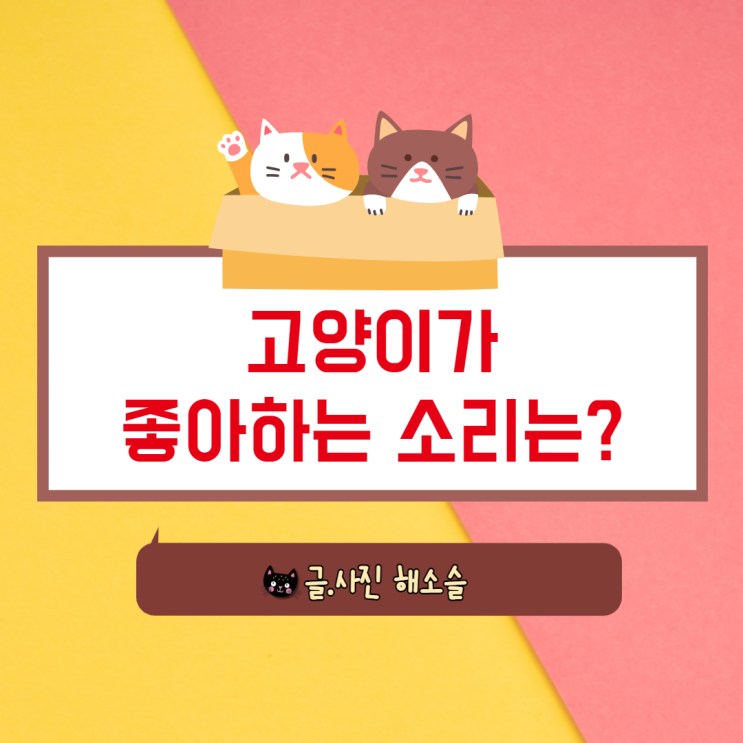 고양이가 좋아하는 소리는 어떤게 있을까?