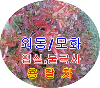 외동용달 호계 모화 운송.