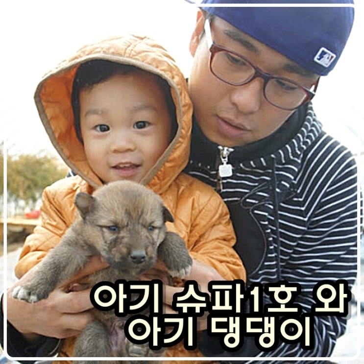 [육아기록] 아기슈파1호 와 아기 댕댕이