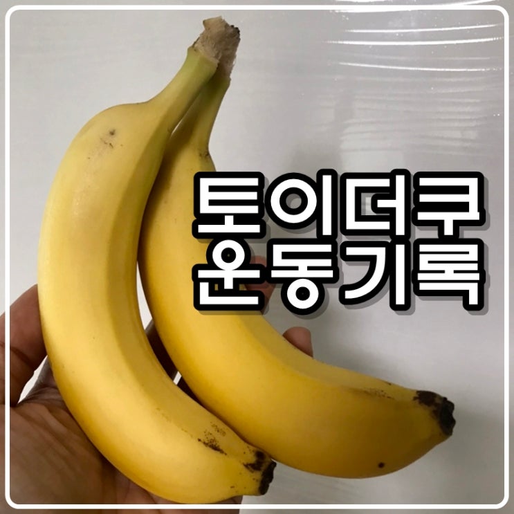 토이콜렉터 손대니의 운동기록 - 210411 토이콜렉터 손대니의 운동기록 - 210411