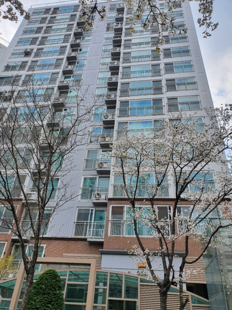  [원주마루철거] 원주 반곡벽산블루밍2차 마루 철거 현장