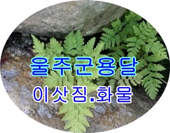  울주군용달 언양 산내 운송.