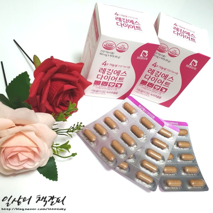  다이어트의 시즌 여름이 다가온다..! 다이어트 보조식품 추천 <레깅에스 다이어트>