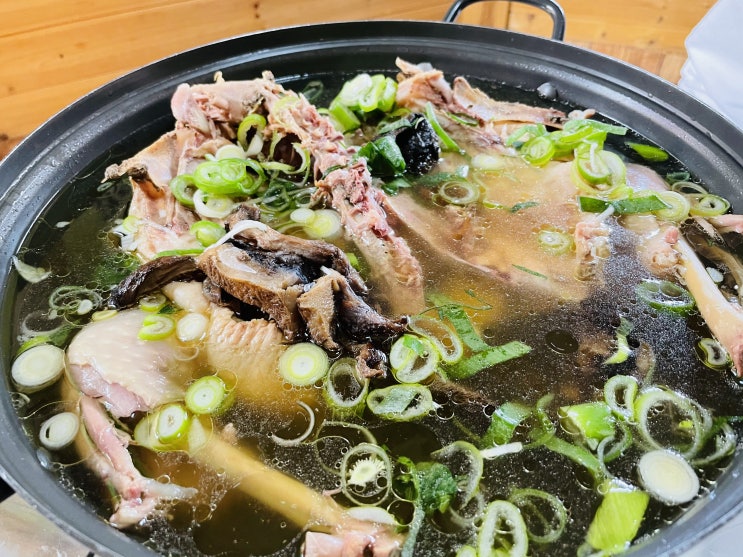 [송해공원 방갈로 식당] 대구 송해공원 맛집 '지상낙원청둥오리가마구이' 능이닭백숙