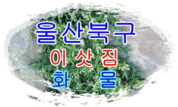 울산북구용달 호계 모화 출발합니다.