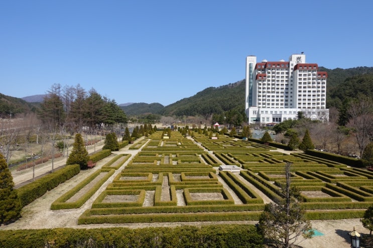  4월 가족여행 - 오대산 찍고 평창 켄싱턴 호텔에서 호캉스