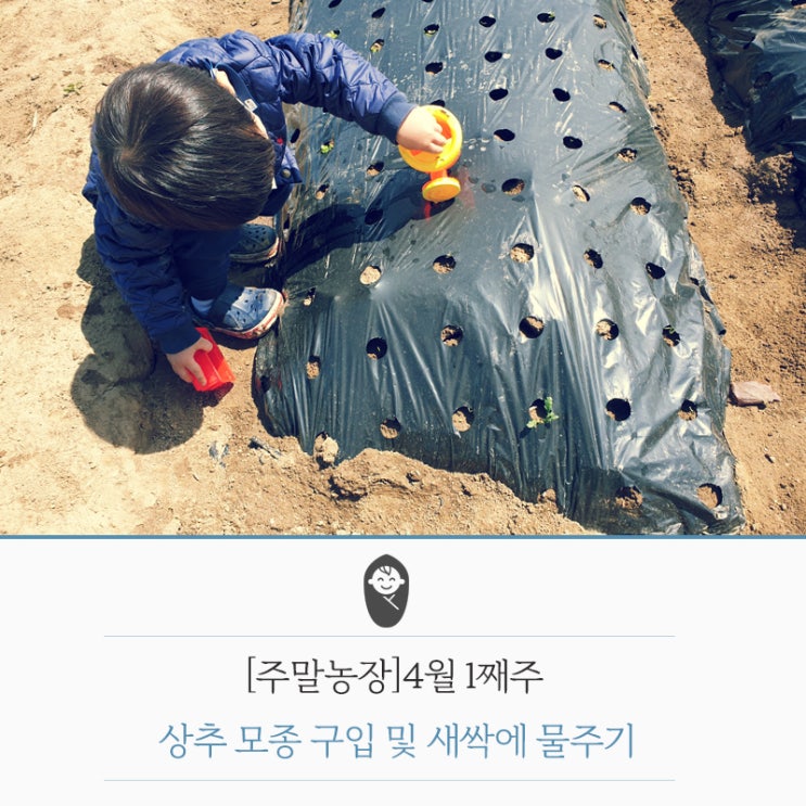 [주말농장]4월 1째주 상추 모종 구입 및 새싹에 물주기