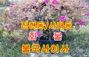 불국사용달 보문 양북 출발.