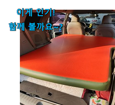 SNS에서도 난리났대요 소유하고파 카니발 에어매트 꿀템상품 이에요. 너무 좋습니다 SNS에서도 난리났대요 소유하고파 카니발 에어매트 꿀템상품 이에요. 너무 좋습니다
