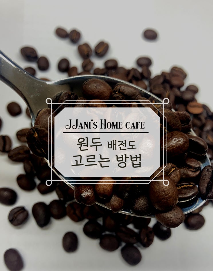  배전도 원두 선탠하는 방법, 로스팅
