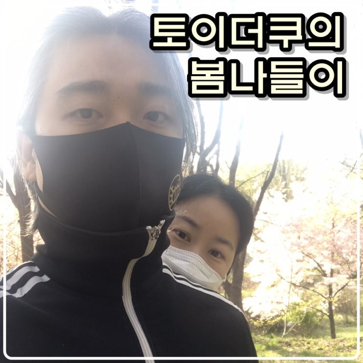 토이콜렉터 손대니 가족의 봄나들이 토이콜렉터 손대니 가족의 봄나들이