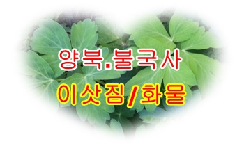  양북용달 불국사 화물 운송.