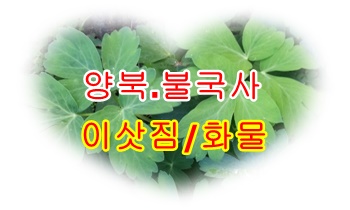 양북용달 불국사 화물 운송.