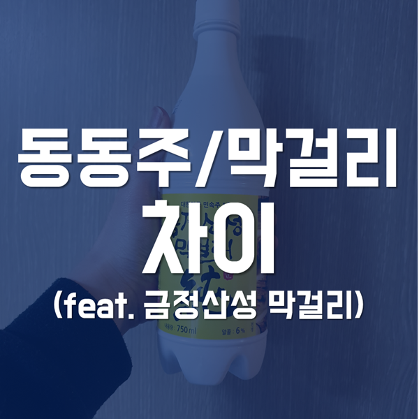  동동주 막걸리 차이! 알고 마시면 더 맛있는 전통주 (feat. 금정산성막걸리 이야기 소개)