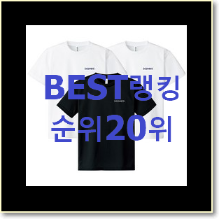  가성비혜자 스투시반팔 꿀템 안사곤 못 참겠어요