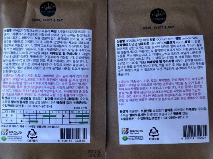 바질, 루꼴라  키우기!!! (키우는 법)(씨앗)