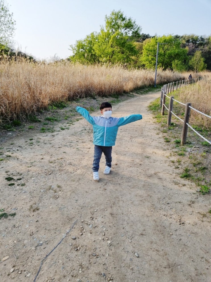  대구 금호강 공항교 강변공원 피크닉장으로 아이와 함께 나들이 다녀왔어요!