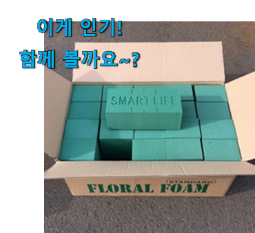 벌써 리뷰가 이렇게 쌓였어요. 확인필수 꽃꽂이 오아시스 클릭 이구요. 이제는 알아야죠. 벌써 리뷰가 이렇게 쌓였어요. 확인필수 꽃꽂이 오아시스 클릭 이구요. 이제는 알아야죠.
