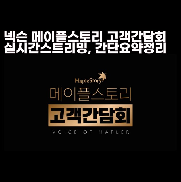 메이플스토리 고객 간담회 영상 과 요약, 넥슨 마비노기 간담회 처럼 무박2일?