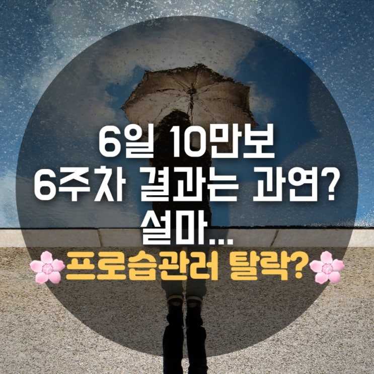 6일10만보 6주차 걷는시간 알아봅시다 6일10만보 6주차 걷는시간 알아봅시다