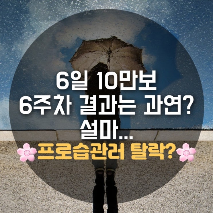 6일10만보 6주차 걷는시간 알아봅시다