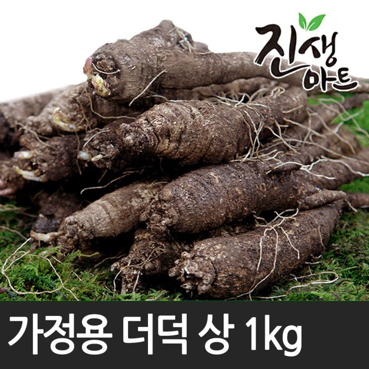가성비 좋은 후금이네 국산 100% 향이진한 참 더덕, 1개, 더덕 상 1kg ··· 가성비 좋은 후금이네 국산 100% 향이진한 참 더덕, 1개, 더덕 상 1kg ···