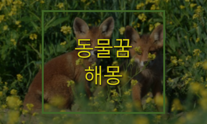  동물꿈 여러 동물들과 함께하는 꿈을 꿨을때!