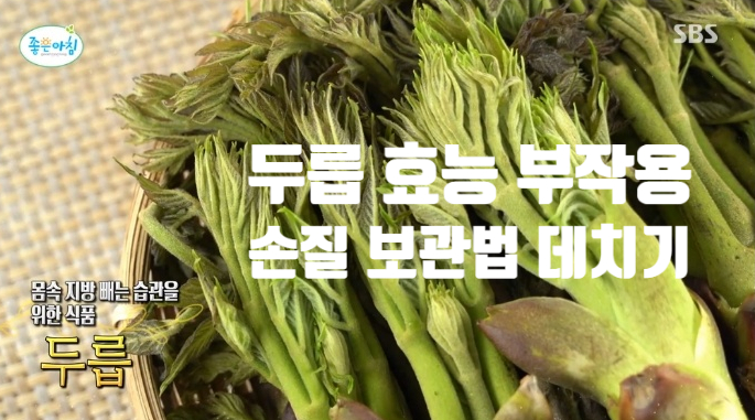  고혈압 당뇨 혈액순환에 좋은 두릅 효능 부작용 (ft. 고르는 법 손질법 데치기 보관법) 4월 제철 채소