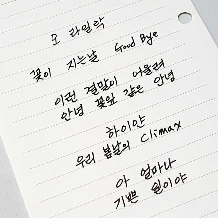  너는 미꽃체가 아닌데...? 내 책상 위에 아이유 라일락이 놓여 있다.