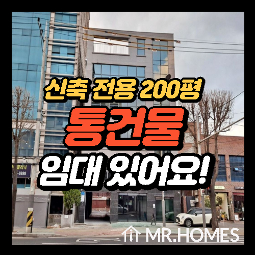  광진구 전용 200평 신축 통건물 임대 정보입니다.