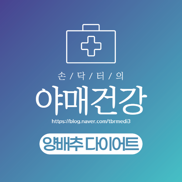  위에 좋은 양배추 다이어트 :: 양배추다이어트 하는 방법 알려드려요!