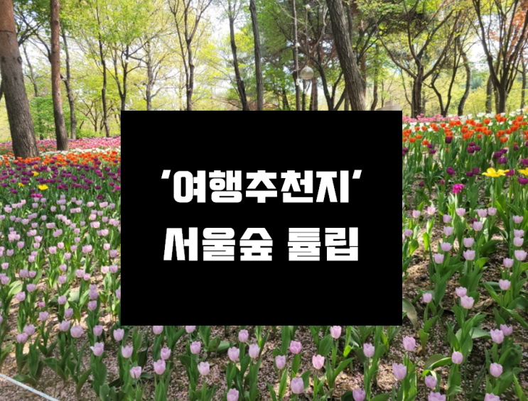 [서울숲 튤립축제] 나들이 가기 좋은 서울숲 튤립보러가기