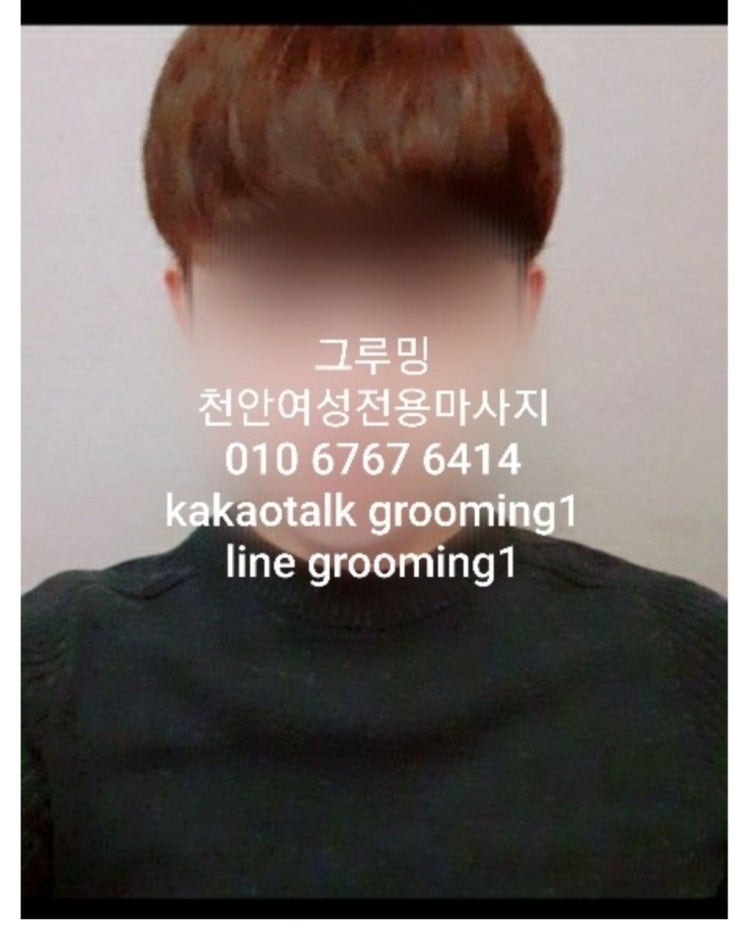  도진 관리사