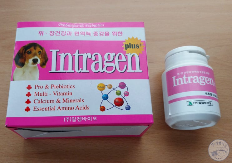  만만한데 먹이기 참 힘든 고양이 영양제 인트라젠 Intragen