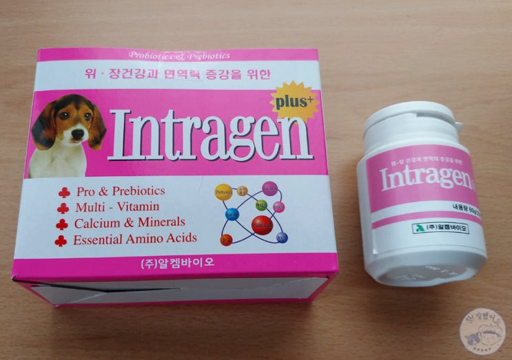 만만한데 먹이기 참 힘든 고양이 영양제 인트라젠 Intragen