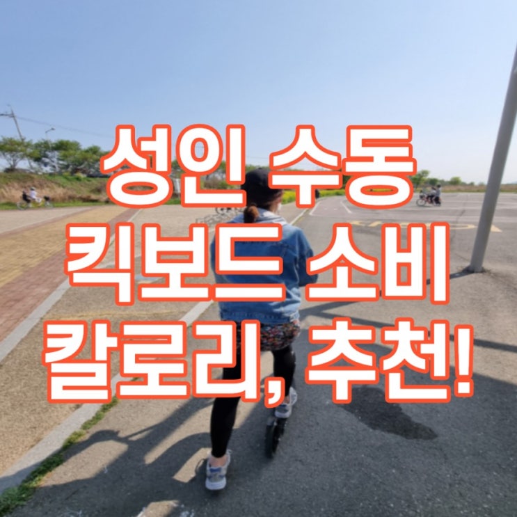  성인 수동 킥보드 추천 운동 칼로리, 주의할 점, 다이어트에 최고