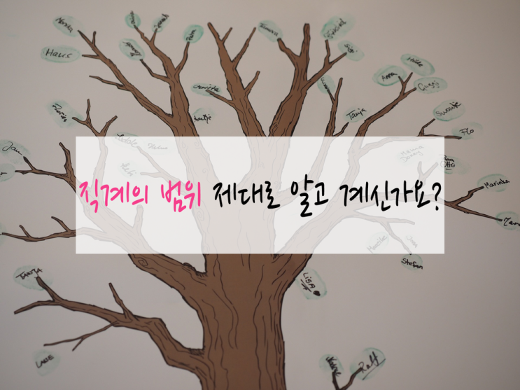 [체험] 직계 범위 - 직계존속, 직계비속, 방계혈족 정의와 관계 파헤치기